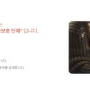 길고양이 마을(카스카) 네이버블로그