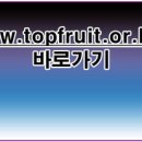 남포포도원