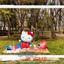 애니베어 이미지