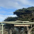 로드아우터 | [공지] [호주] 워홀러의 멜버른 투어 내돈내산 후기, 그레이트 오션로드, 퍼핑빌리, 필립아일랜드 1탄