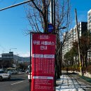 엘축사 | 2025 제35회 궁디팡팡 캣페스타 서울 SETEC :: 부산 다묘가정 집사 관람후기 (수서역 셔틀버스/떼샷/택배)