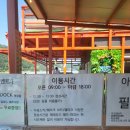 비버피시 이미지