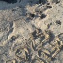 해밀3 | 여자둘 제주에서 낭만 꽉끼는 여행 (제주도/애월/서귀포/해밀리조트 2박 3일 후기)