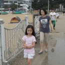 감나무목장 이미지