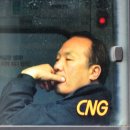 정윤복, 정호선묘 및 신도비 | 03/14(월) 바쁜 하루일과를 보냈습니다!!! 그리고 방문한 용인 정윤복.정호선묘 및 신도비!!!