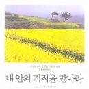 내안의기적