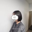 당산역 미용실 헤어스튜디오백가 여자 단발 레이어드 후기