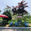 서천장어본가 이미지