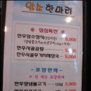 암소한마리 이미지