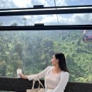 베트남 여행 다낭 아지트 렌트카 추천 바나힐 투어 16인승 탑승 후기