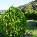 광산구-139 이미지