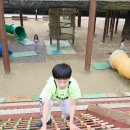 사랑가득 합기도 | 🎁 추석 윷놀이 선물 &amp; 재량휴업일 특강수업! | 용산동 합기도 아이사랑 일무관합기도 즐거운 하루