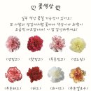 소소절절꽃이야기