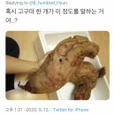 엑소 백현, 적은 식사량에 팬들 '깜짝'… "사과·고구마 1개 다 먹으면 용자" 이미지