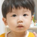 블루래빗 이미지