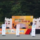 [20151101] 대회_제6회 대구광역시 생활체육 전국산악자전거대회 자원봉사 이미지