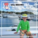 (주) 따봉투어 | 시드니 포트스테판 투어 머레이 와이너리 점심 & 넬슨베이 돌핀크루즈 붐넷 | 시드니 자유여행 3일차