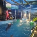 화원펜션 이미지