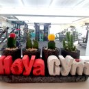Hoya Gym 이미지