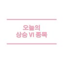 신성옵틱 이미지