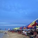 동해포차 이미지