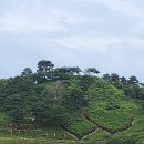 구조라위판장 이미지