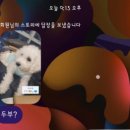 인 위즈 헤어