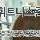 휘트니스 존 네이버블로그