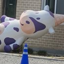 경기둘레길 포천15코스 이미지