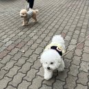 고잔유치원 이미지