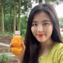 숲길민박 이미지