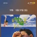 다슬 네이버블로그