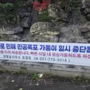 물안개공원 | 🌫️ 양평 물안개공원 방문 후기 양평에서 만난 힐링의 순간 🌿