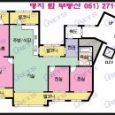 퀸덤 1차 아인슈타인 이미지