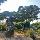 갈치저수지 이미지