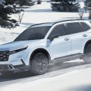 패밀리카 이미지