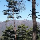덕산커피 이미지