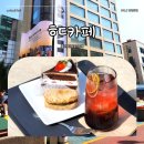 케이트잉글리쉬가든 | [서울/마포] 홍대 디저트 카페 층별 컨셉이 다른 이색적인 'ㅎㄷ카페' 케이크·다쿠아즈 맛집