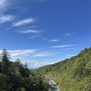 파란곰한우농장 | 비에이 후라노 흰그림자 투어 : 청의 호수 / 흰수염폭포 / 사계채의 언덕