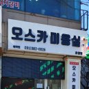 오스카미용실 이미지