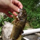 다리목민박 이미지