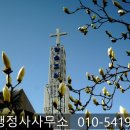 (유)한국비엠에스제약 이미지