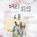 숲머리 이미지