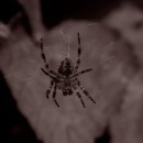 진로부동산공인중개사사무소 이미지