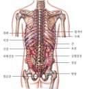 몸이 나에게 주는 이상 신호 25가지 이미지