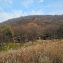 용인자연휴양림4 | 가족여행 추천 용인자연휴양림 뜨끈뜨끈 온돌 숙소 체험골 숙박 후기