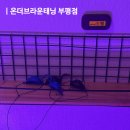 온더브라운태닝(부평점) | 가성비좋은 부평태닝샵 온더브라운태닝 부평점에서 화이트태닝 받아본 후기