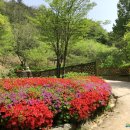 연일공원 입구 이미지