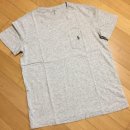 포켓불독 이미지