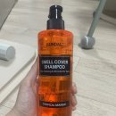 [사춘기 초등학생&부모] 동상이몽 | 쿤달 올데이 스멜커버 청소년샴푸 400ml 솔직후기｜사춘기 머리 떡짐·정수리 냄새 고민 해결템